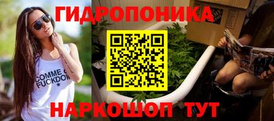 прущие грибы Ипатово