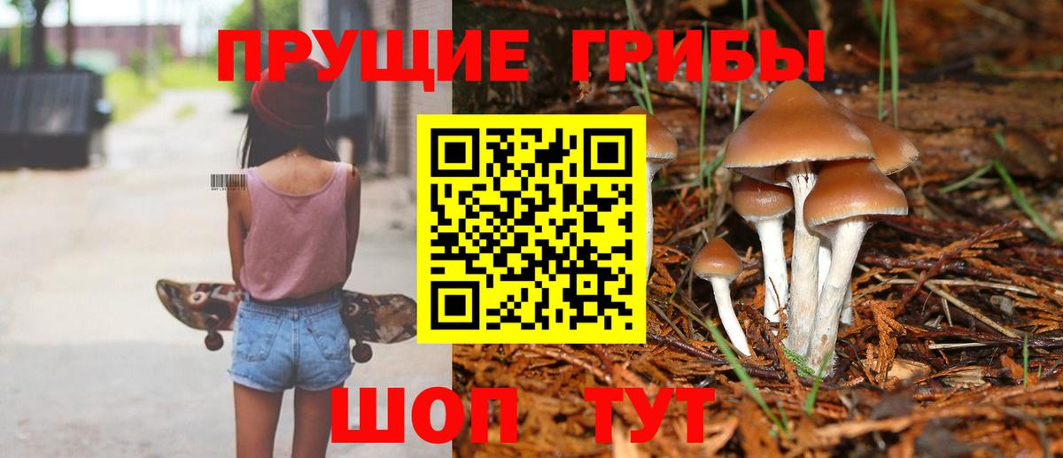 Псилоцибиновые грибы GOLDEN TEACHER  Псилоцибиновые грибы Cubensis  Лесосибирск  Вход с VPN 