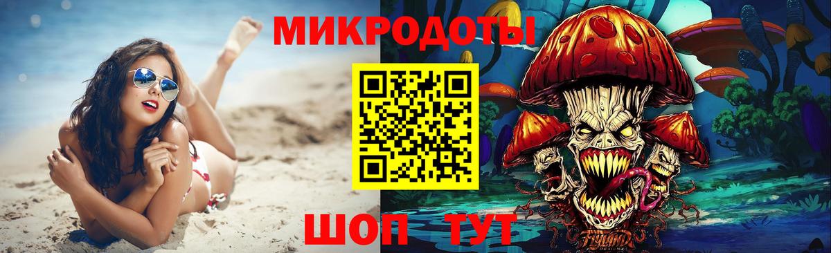 Псилоцибиновые грибы Psilocybe Лесосибирск